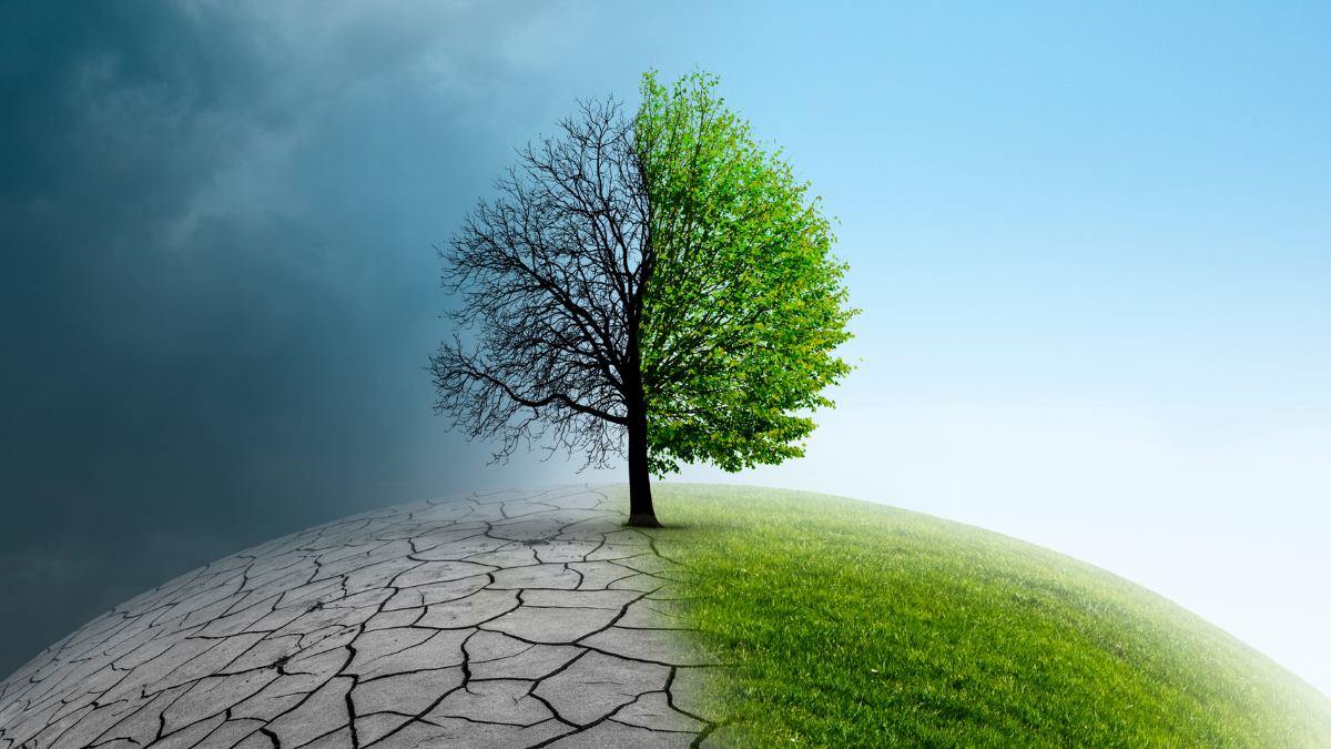 Climate Change