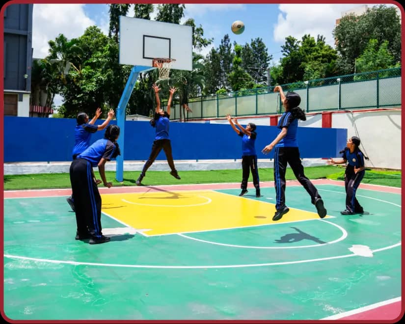 Your journey in sports begins here
