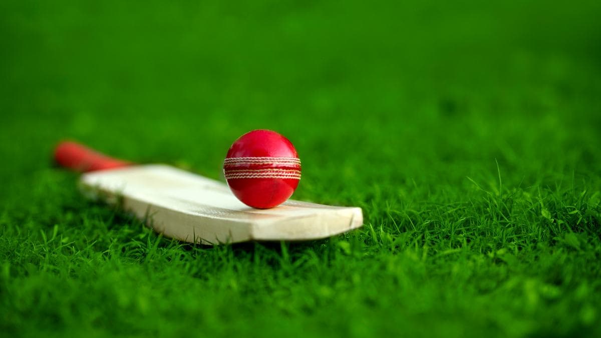 Cricket Dead Ball