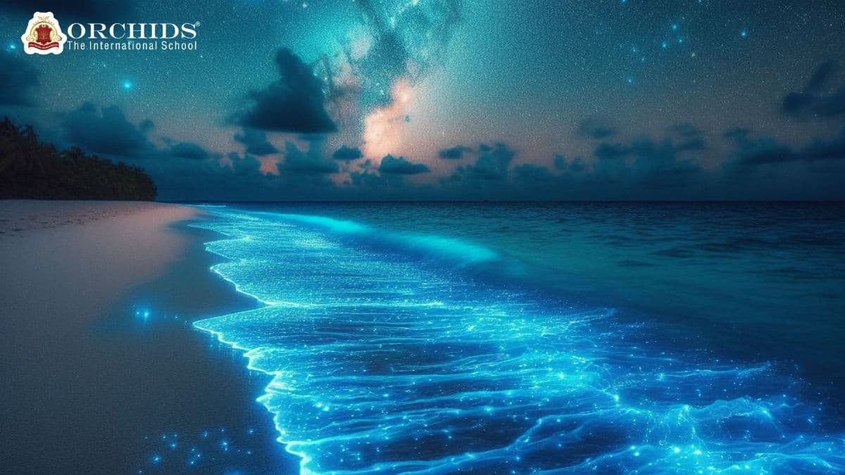 Bioluminescence