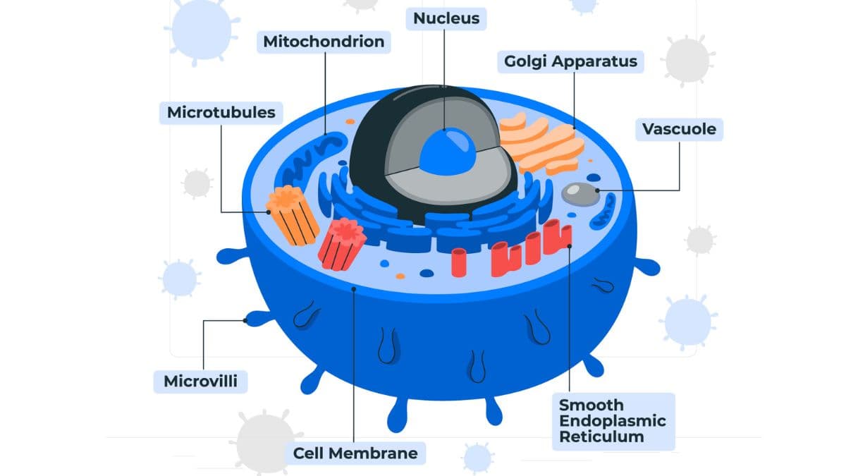 Cell Biology