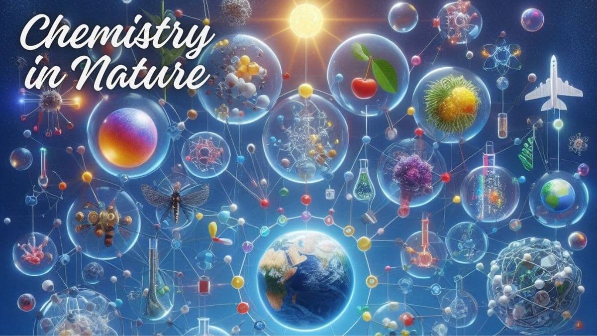 Chemistry in nature