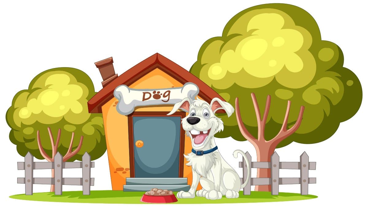 Dog Home
