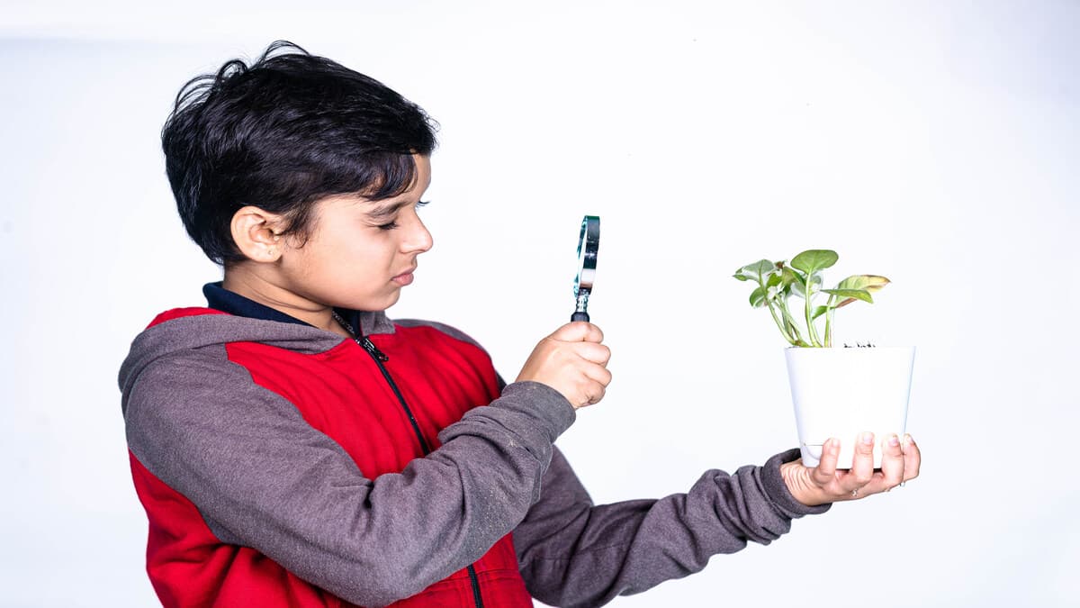 Environmental Education
