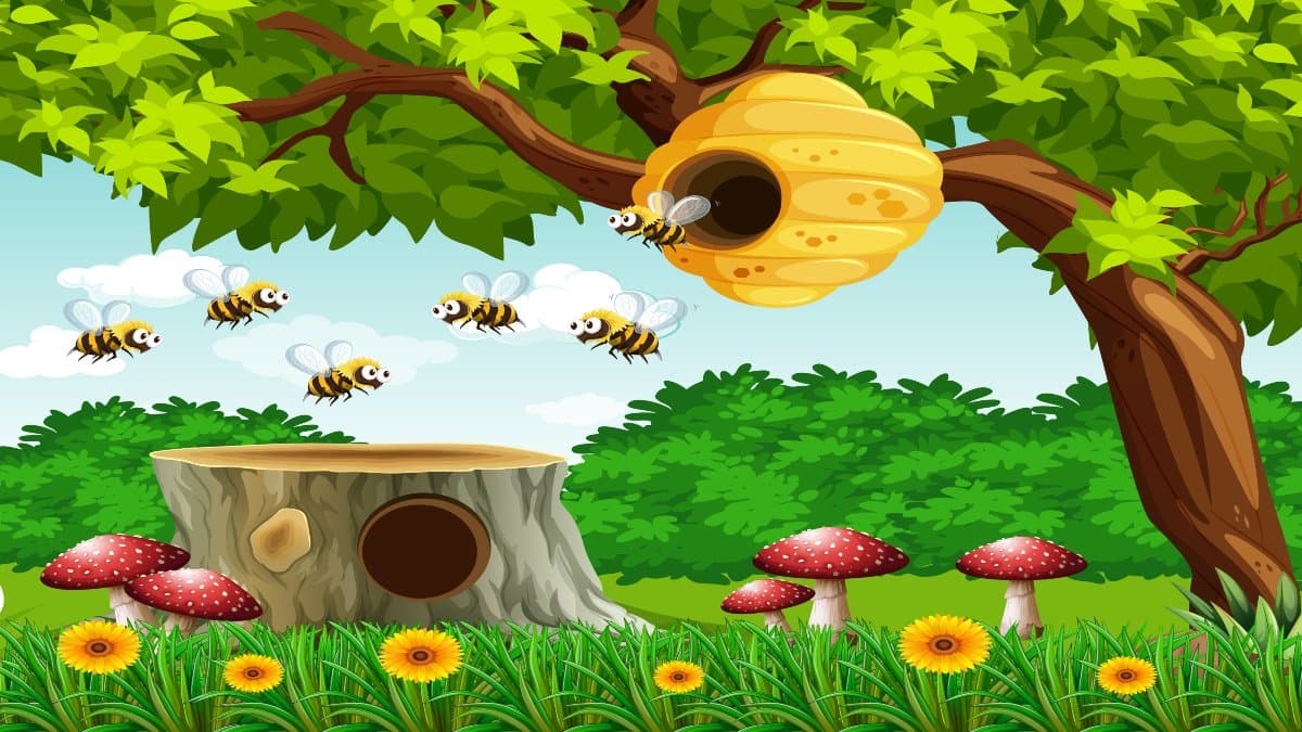 Honeybee home