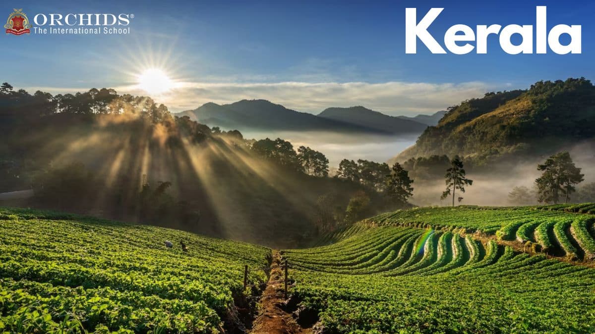 Kerala-God's own Country