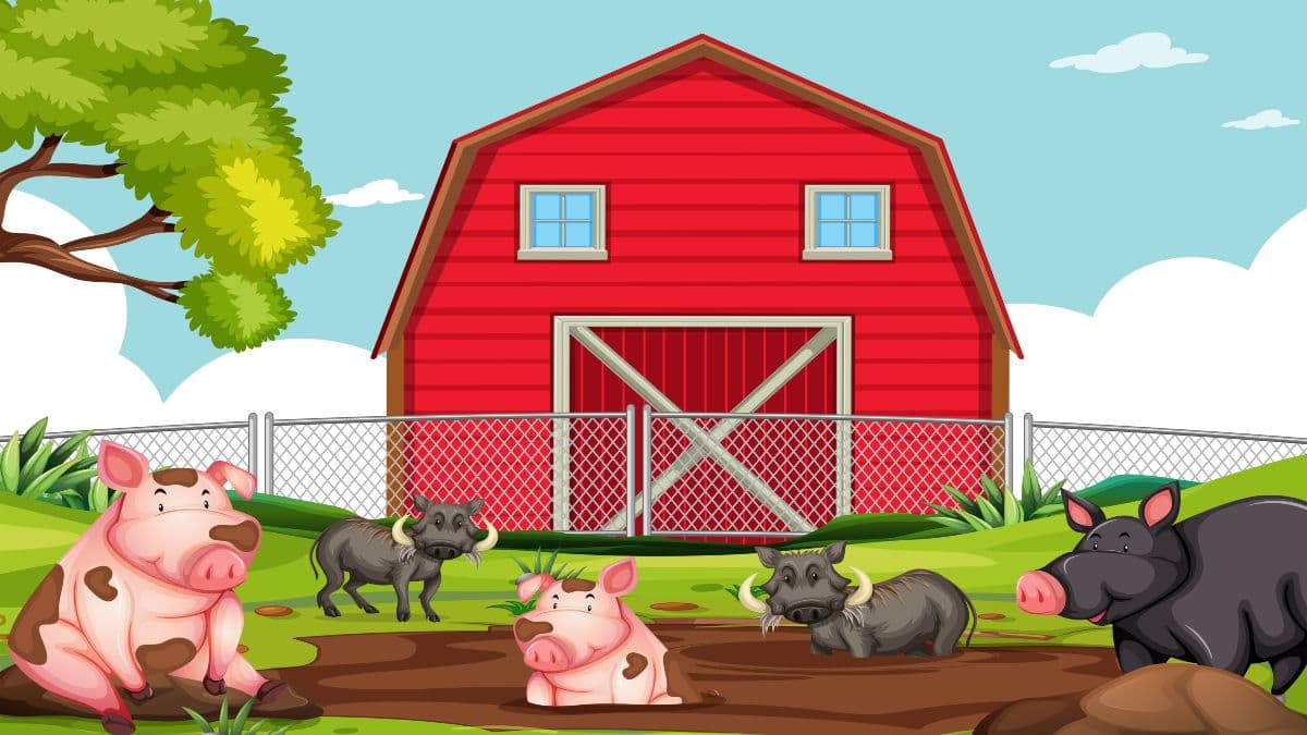Pig House