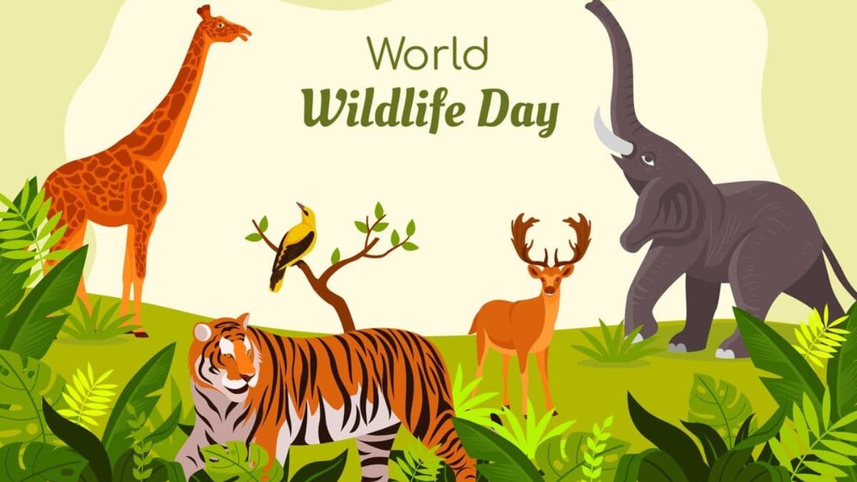 India's Rich Wildlife Heritage