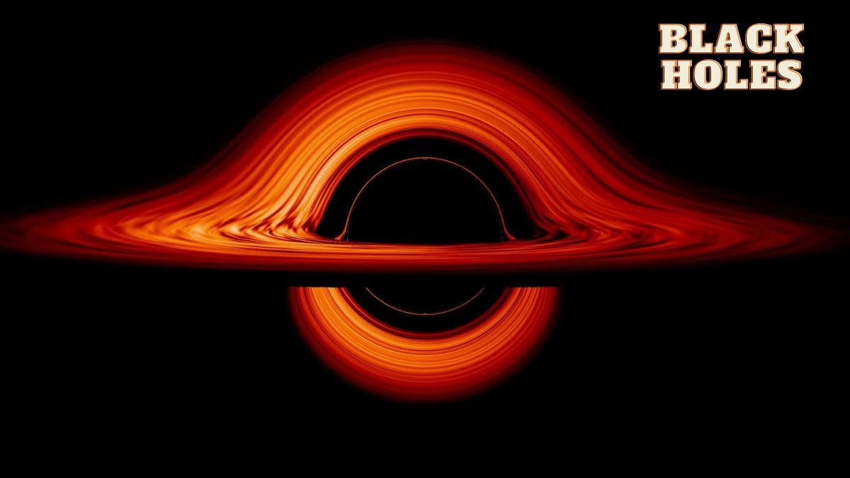 Black Holes
