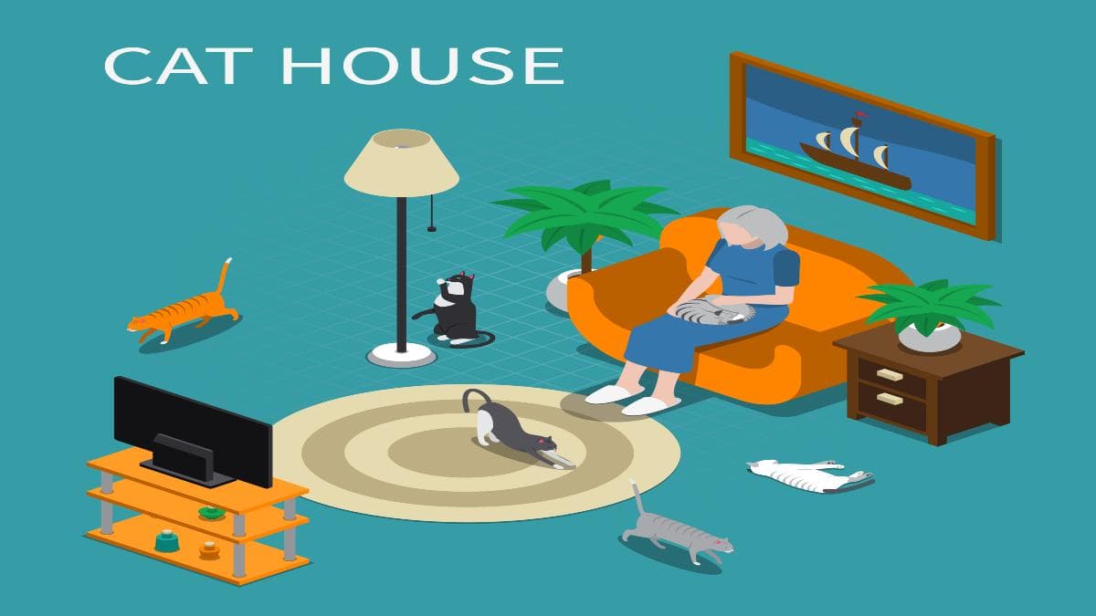 Cat's House Name:  Types Of Cat Homes, Fun Facts & More