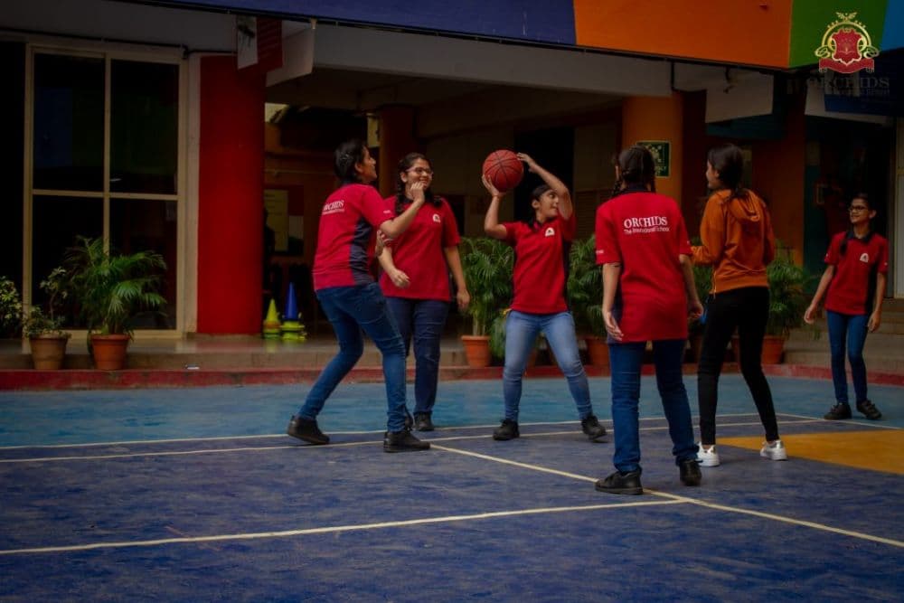 Free Play