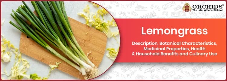 Lemongrass