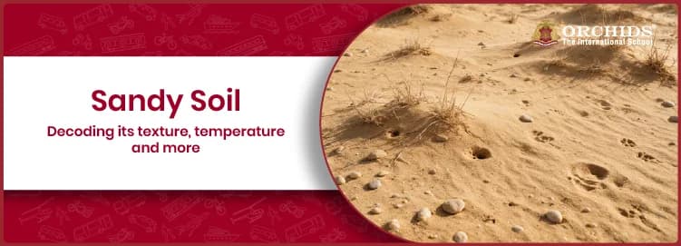 Sandy Soil