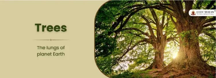 Tree Facts