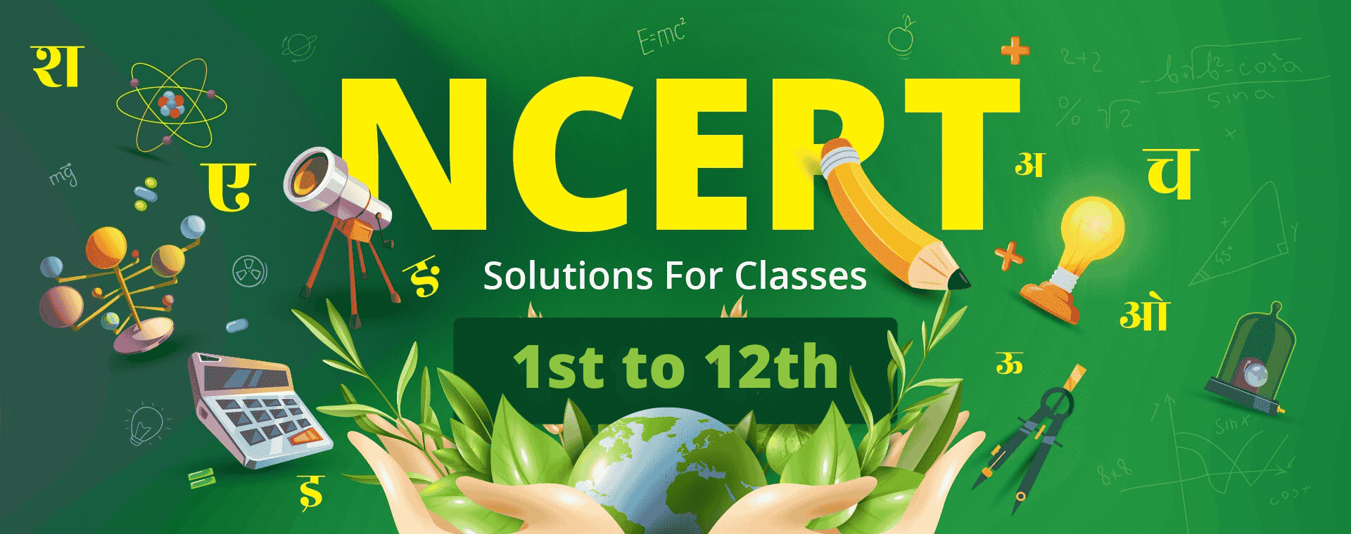Orchids International School NCERT Solution