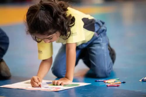 Highlights of Art Classes