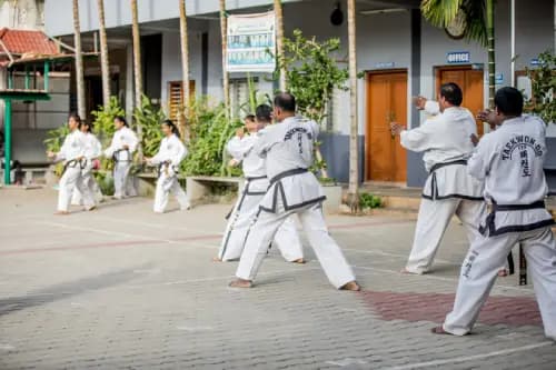 Learning Taekwondo by masters