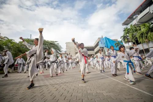 Why Taekwondo at Orchids?