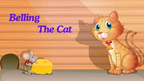 Belling the Cat