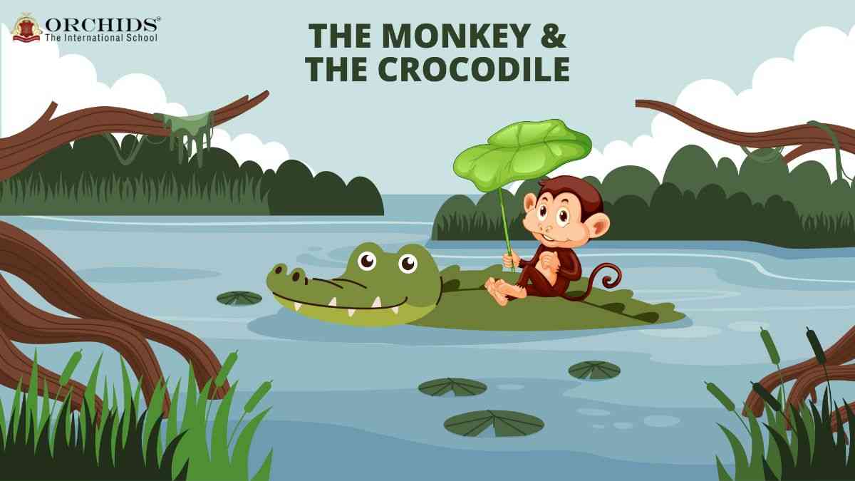 monkey and crocodile