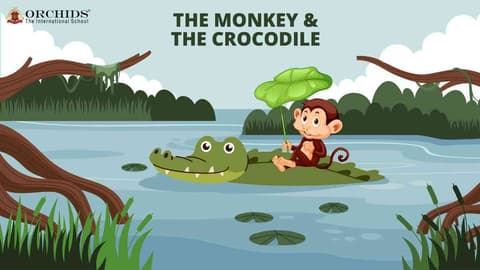 monkey and crocodile