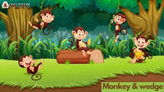 monkey and the wedge
