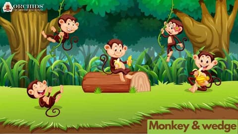monkey and the wedge