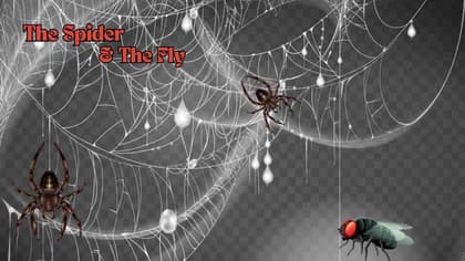 The spider and the fly