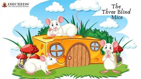 three blind mice