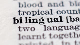 The Benefits of Bilingual Learning Applications to Elementary Students