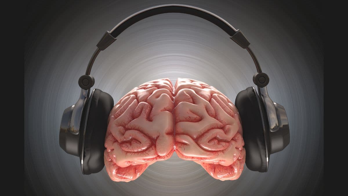 How Can the Effects of Music On The Brain Lead To Cognitive Development?