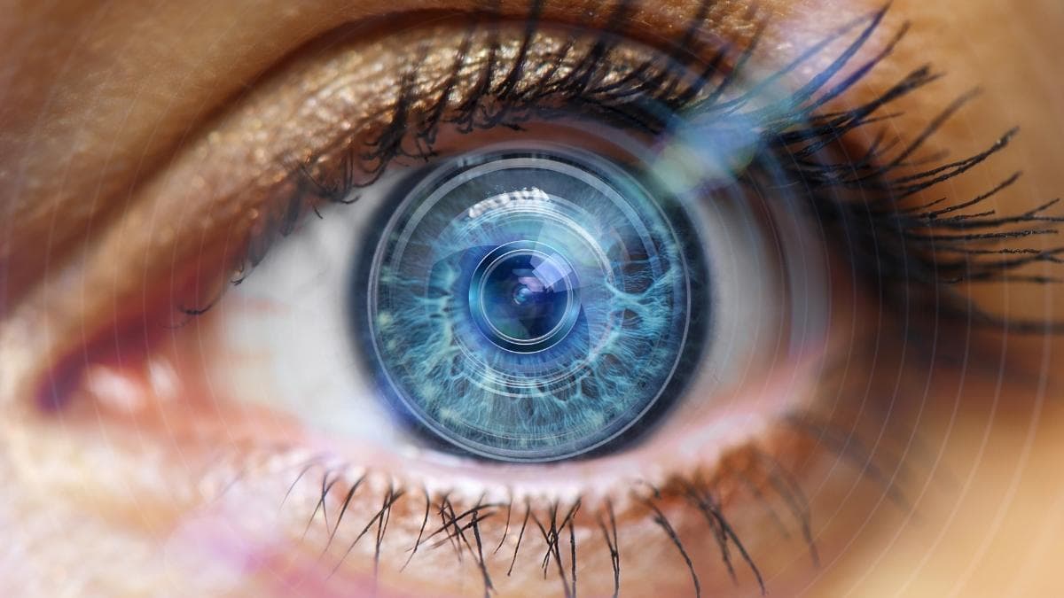The Power of Visual Learning: How Infographics Help Kids Understand Complex Concepts