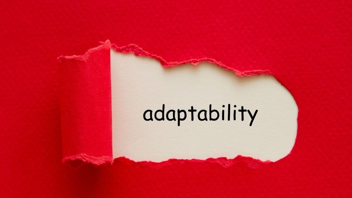 Why Flexibility and Adaptability Are Key Skills for the Future?