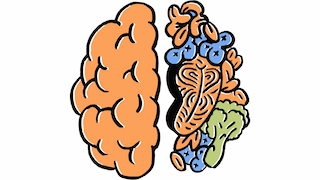 Nutrition and Brain Development: How Healthy Eating Awards Cognitive Growth