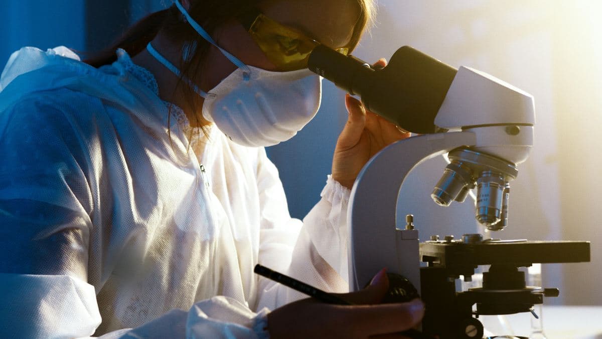 A Path To Scientist Career: Exploring Opportunities in Science