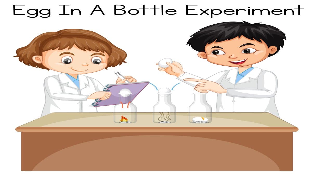 Introducing STEM: Simple Science Experiments for Kids at Home