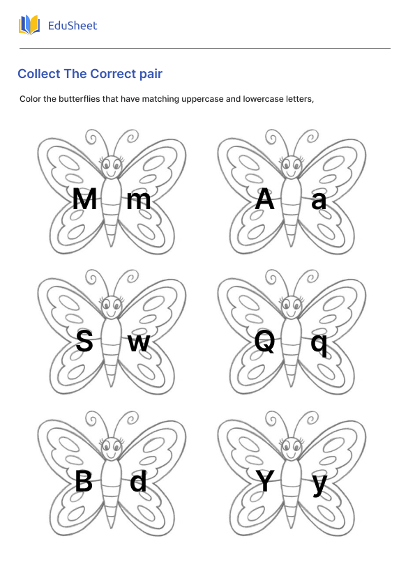 Collect The Correct pair