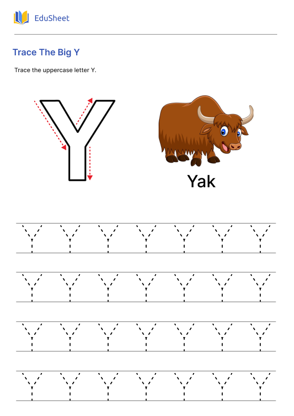 Trace The Big Y