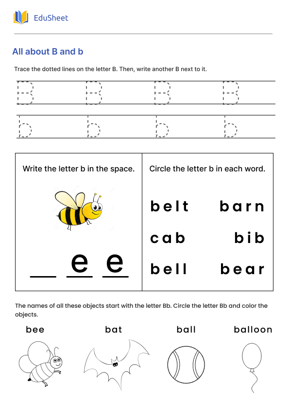 All about B and b