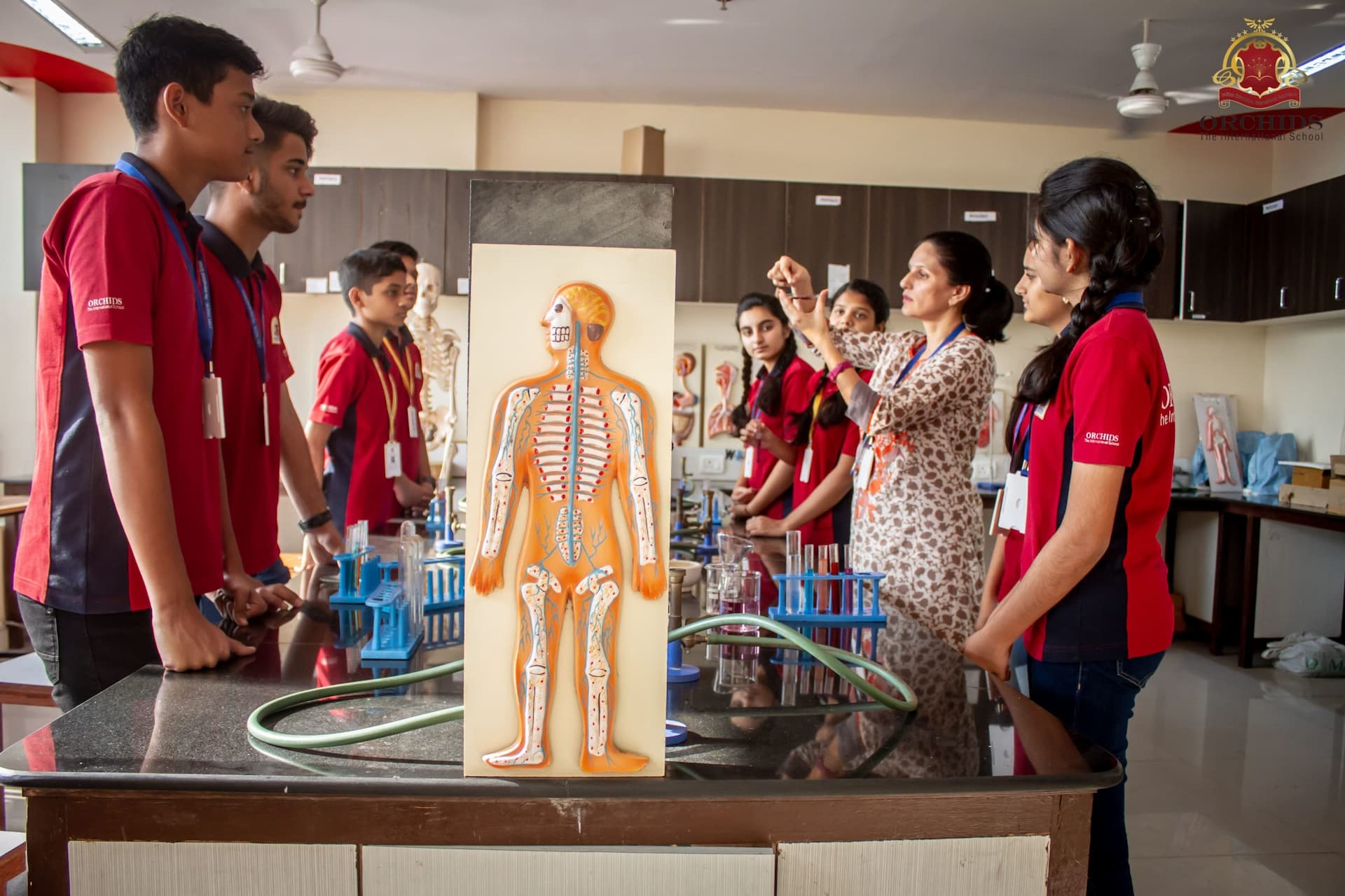 "Schools integrating STEAM subjects into the curriculum for a holistic learning experience."