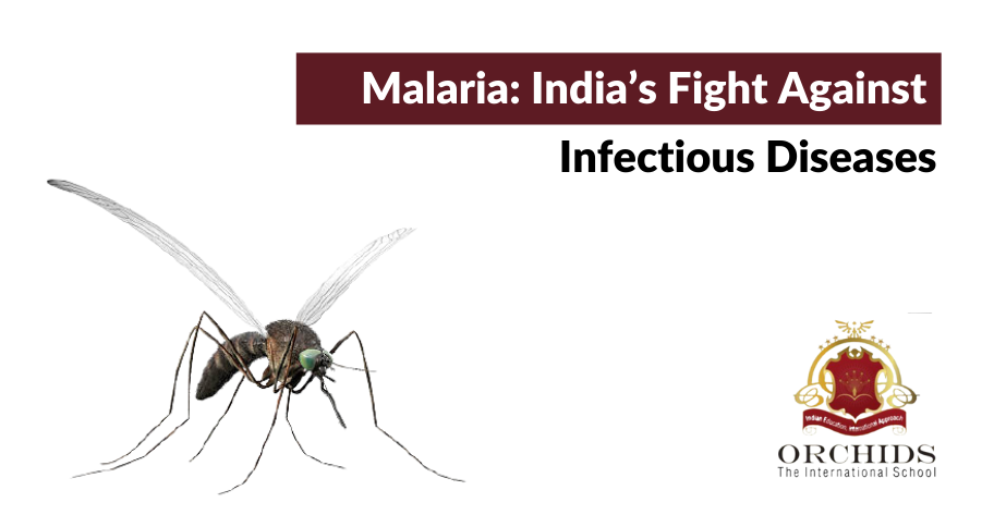 The Malaria Epidemic: India’s Fight Against Infectious Diseases