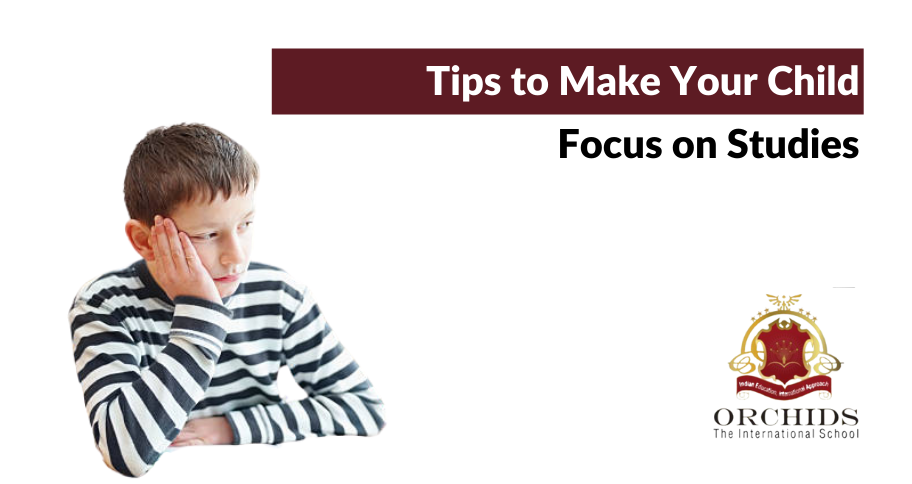 Focus on Studies