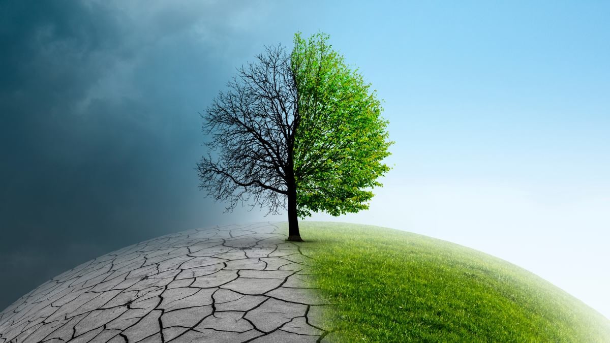 Climate Change
