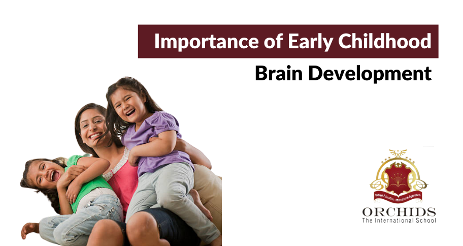 Early Childhood Brain Development