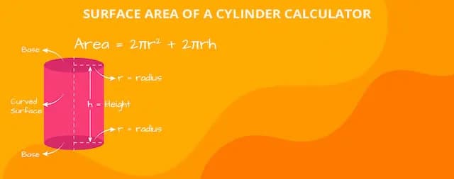 Surface Area of a Cylinder