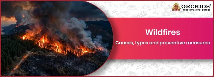 Wildfires Wildfires
