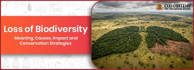 Loss of Biodiversity Loss of Biodiversity