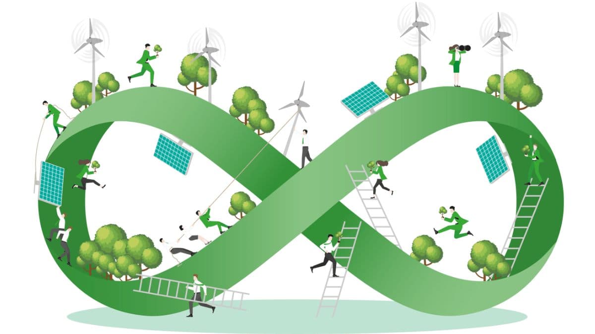 How to Incorporate Environmental Sustainability into the High School Curriculum?