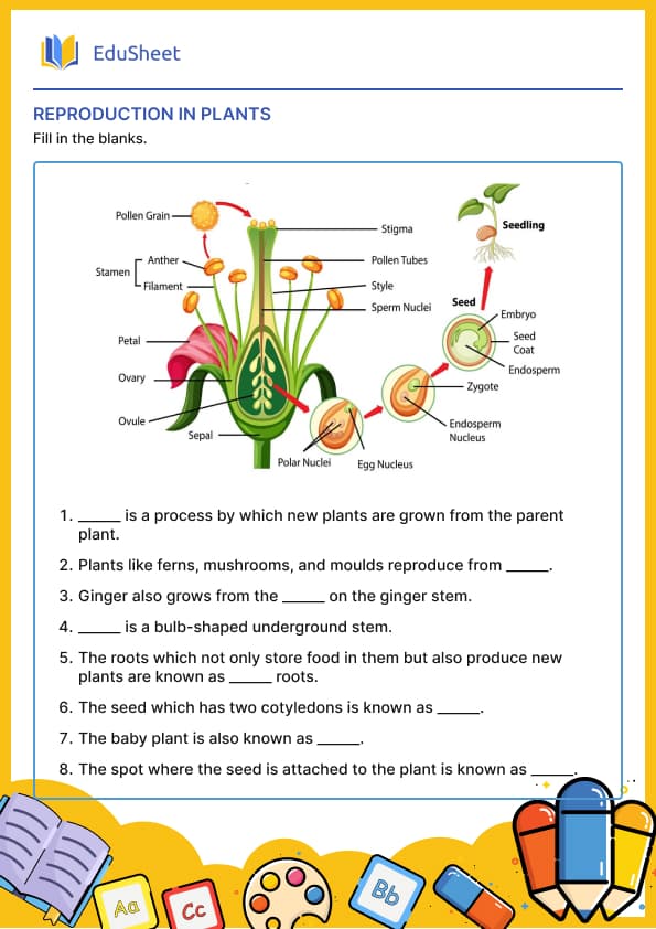Reproduction in Plants Reproduction in Plants