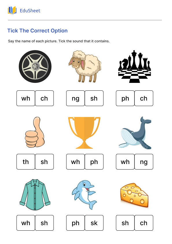 Tick The Correct Option Part 1 Tick The Correct Option Part 1